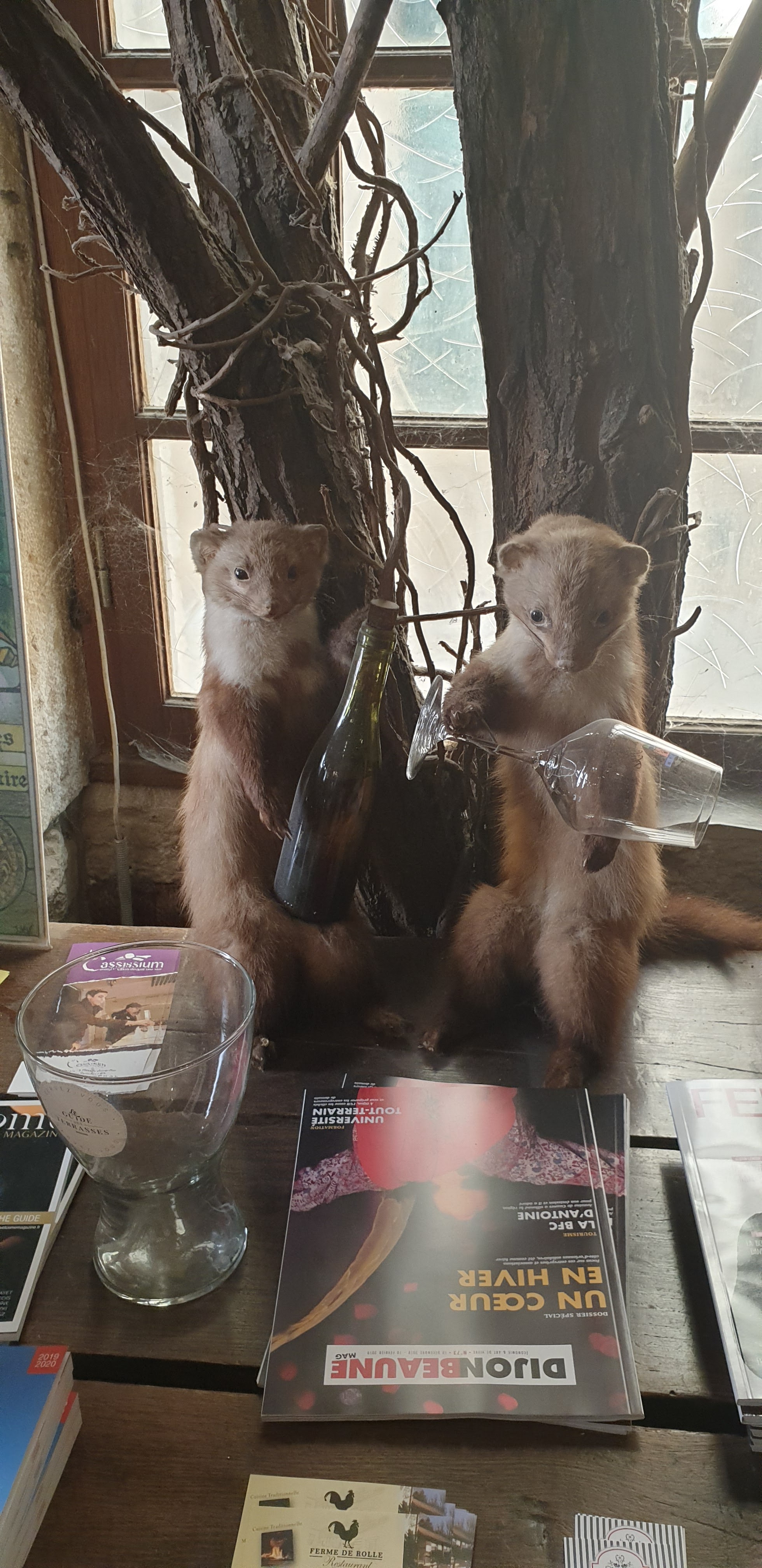 Photo n° 2 de l'avis de Boris.l fait le 06/07/2019 à 13:39