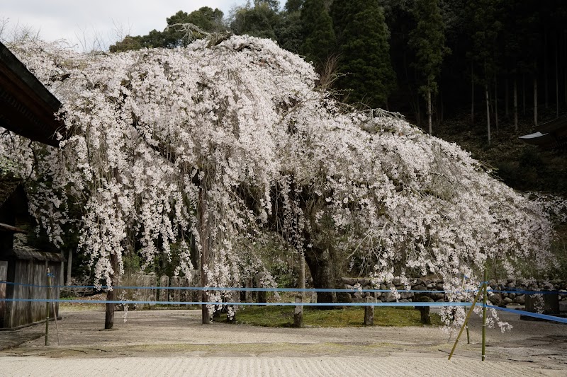 光善寺