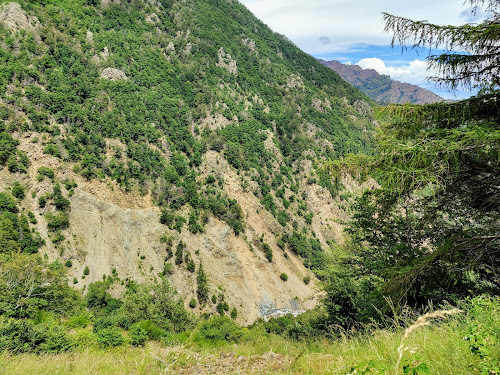 L'observatoire du Mouflon à Val-d'Aigoual