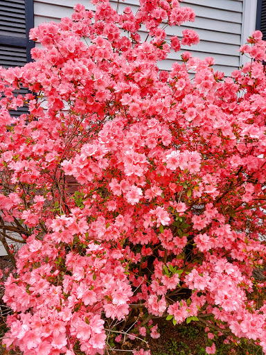 State Park «Cochituate State Park», reviews and photos, 43 Commonwealth Rd, Natick, MA 01760, USA