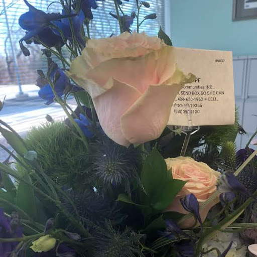 Florist «Flowers By Priscilla - Paoli», reviews and photos, 1592 Lancaster Ave, Paoli, PA 19301, USA