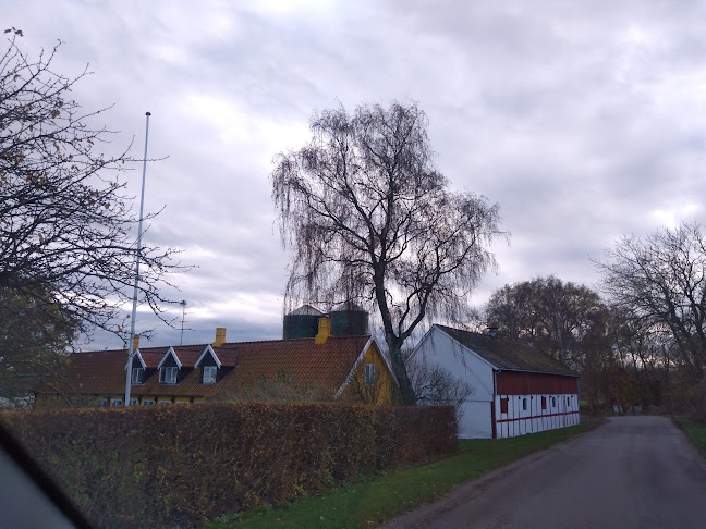 Anmeldelser af Sankt Ibs Kirke i Rønne - Kirke