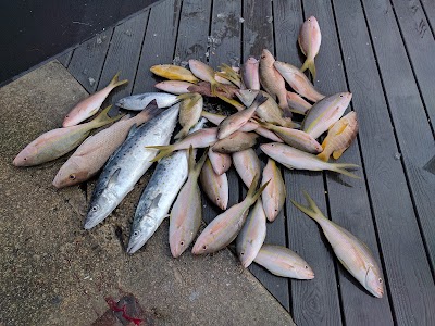 Photos of Gulfstream Party Boat Fishing