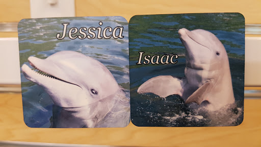 Recreation «Dolphins Plus Oceanside», reviews and photos, 31 Corinne Pl, Key Largo, FL 33037, USA