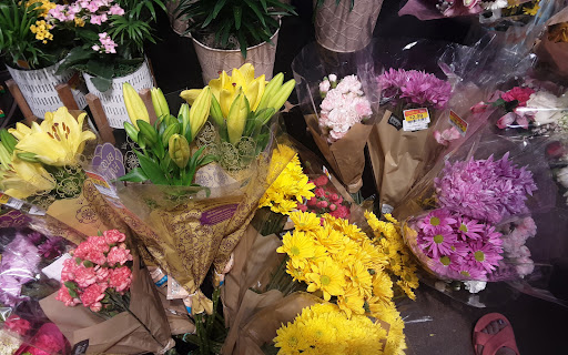 Grocery Store «Kroger», reviews and photos, 525 E Clifty Dr, Madison, IN 47250, USA