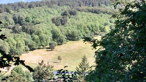 Waterfall «Horsetail Falls», reviews and photos, Historic Columbia River Hwy, Cascade Locks, OR 97014, USA