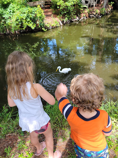 Park «George C. McGough Nature Park - The Narrows», reviews and photos, 11901 146th St N, Largo, FL 33774, USA