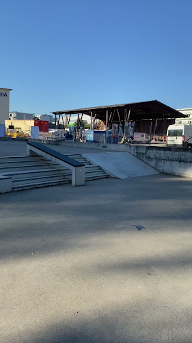 Skatepark Lenzburg - Sportstätte