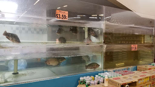 Asian Grocery Store «LF Market Oriental & Seafood», reviews and photos, 5350 W Bell Rd #115, Glendale, AZ 85308, USA