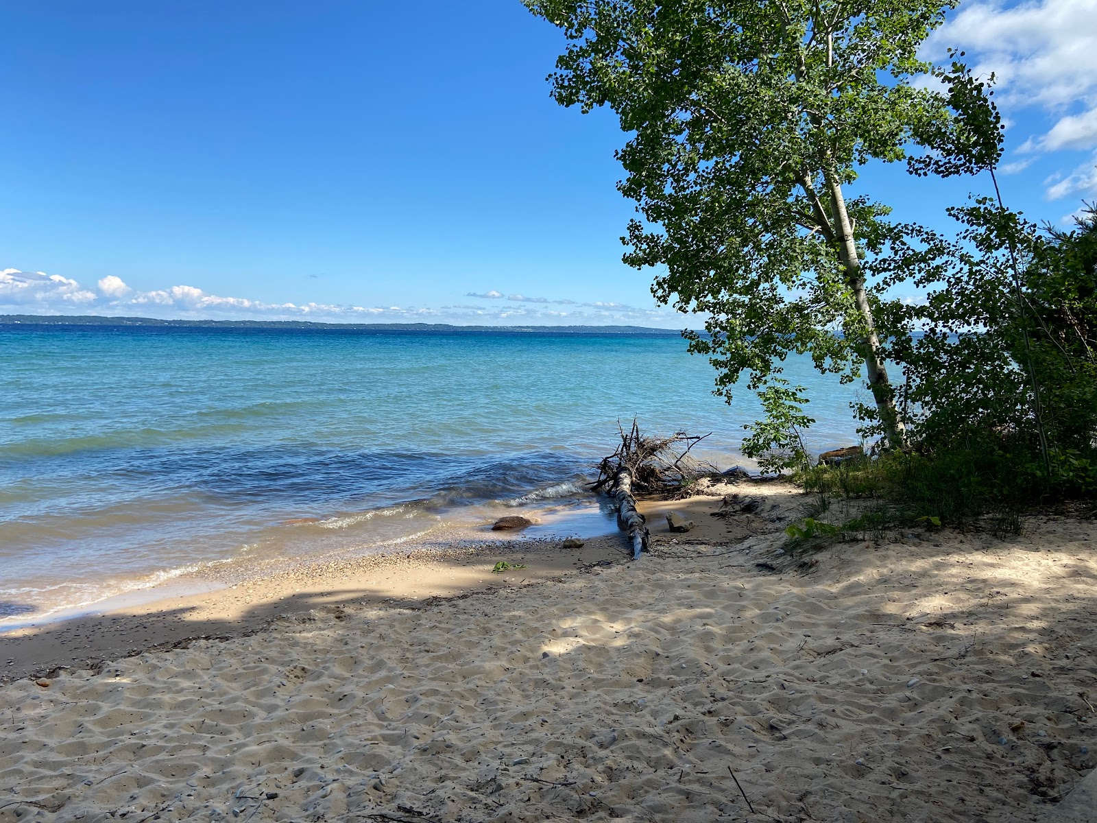 Fotografie cu Boughey Park Beach zonă sălbatică