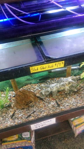 Pet Store «Forest Lake Pets», reviews and photos, 120 Lake St N, Forest Lake, MN 55025, USA