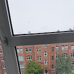 Photo n°2 de l'avis de André.a fait le 06/08/2023 à 06:32 sur le  Victor's Residenz-Hotel Berlin-Tegel à Berlin