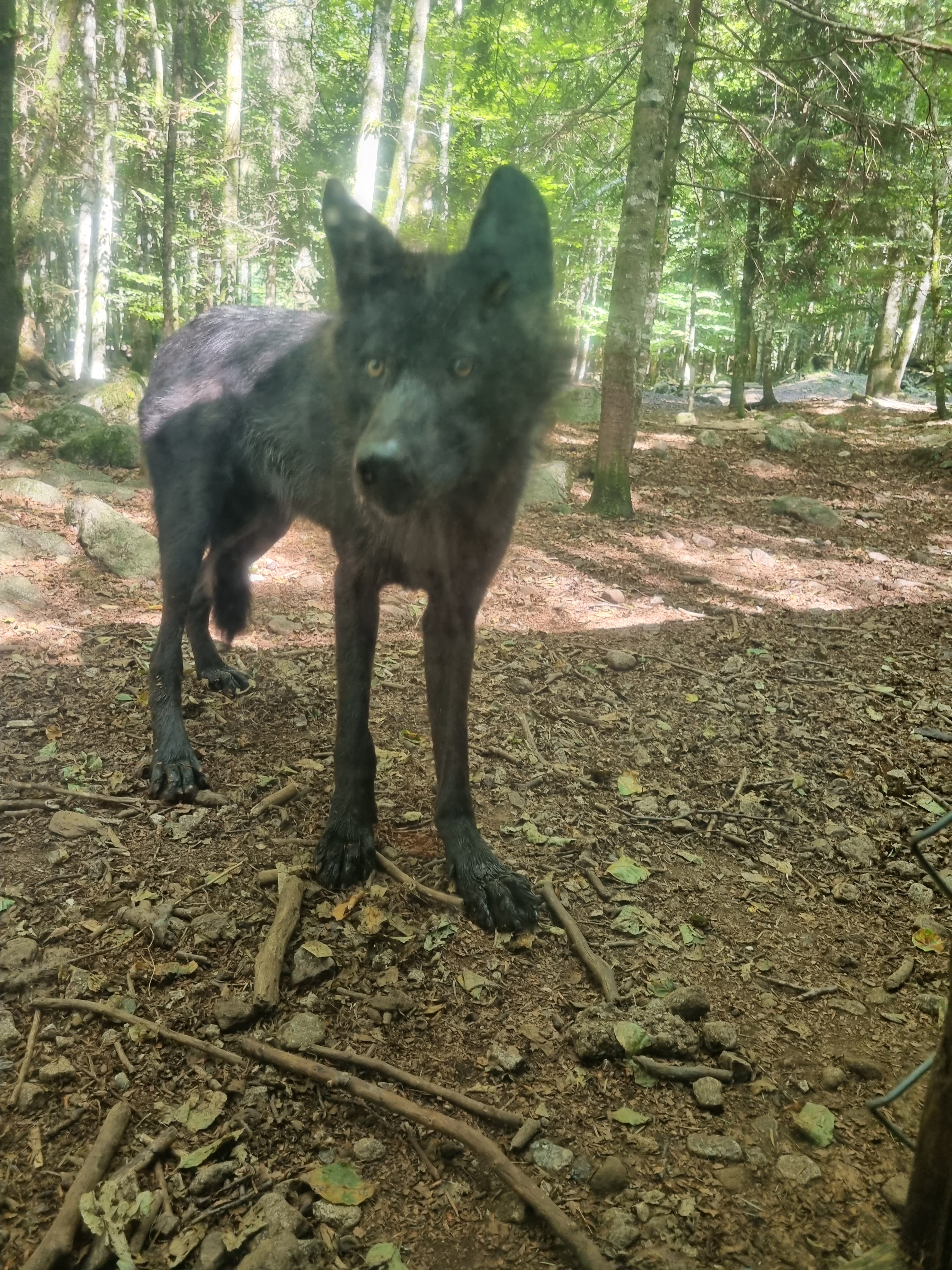 Photo n° 10 de l'avis de p.d fait le 14/07/2023 à 17:06