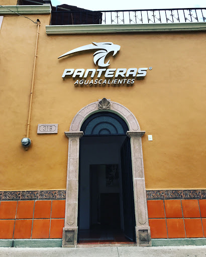 Club Panteras de Aguascalientes