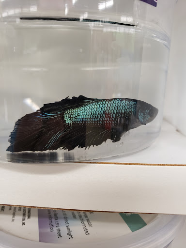 Pet Supply Store «Petco Animal Supplies», reviews and photos, 525 S 5th St, Bismarck, ND 58504, USA