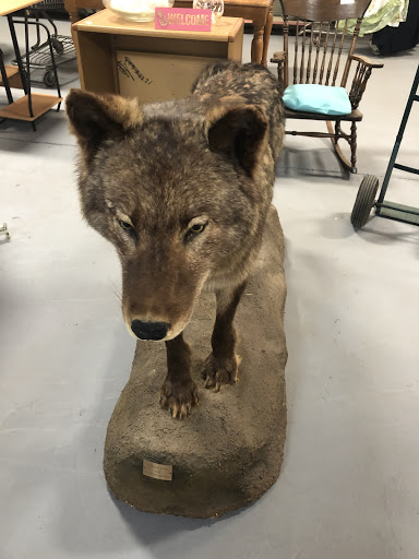 Thrift Store «Helping Hand Mission FL», reviews and photos