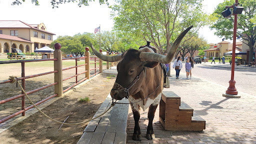 Museum «Stockyards Museum», reviews and photos, 131 E Exchange Ave # 113, Fort Worth, TX 76164, USA