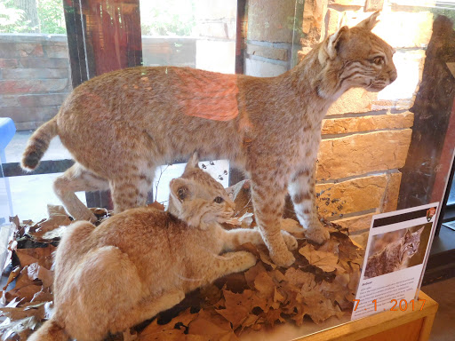 National Park «Chickasaw National Recreation Area», reviews and photos, 901 W 1st St, Sulphur, OK 73086, USA