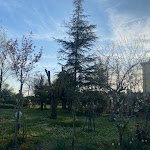 Photo n°15 de l'avis de florin.a fait le 06/04/2023 à 19:08 sur le  Villa Belfiore Hotel à Ostellato