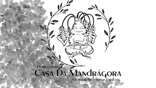 Logo da empresa - Casa Da Mandrágora