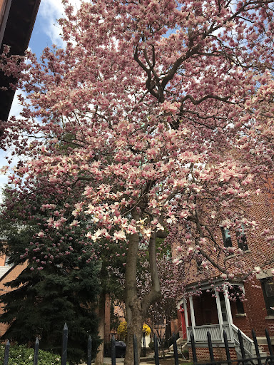 Divorce Lawyer «The Micklin Law Group», reviews and photos