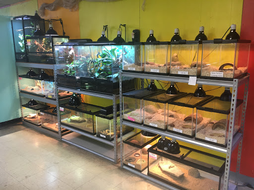 Pet Store «Tye-Dyed Iguana - Reptiles», reviews and photos, 1905 W U.S. 50, Fairview Heights, IL 62208, USA