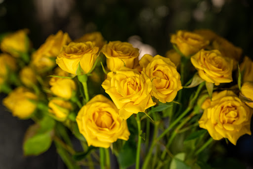 Florist «Lily Flowers», reviews and photos, 3355 S Wadsworth Blvd, Lakewood, CO 80227, USA