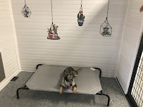 Canine Countryside Inn - Photo 5 - Car repair in Lehigh Acres, FL, Lehigh Acres