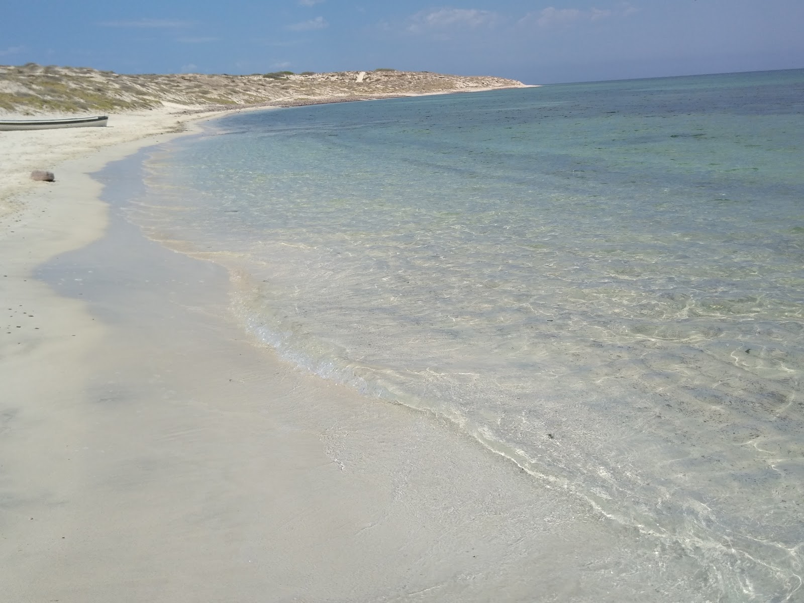 Playa Pulguero Tepetates的照片 位于自然区域