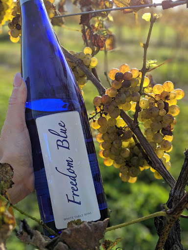 Winery «Freedom Run Winery», reviews and photos, 5138 Lower Mountain Rd, Lockport, NY 14094, USA