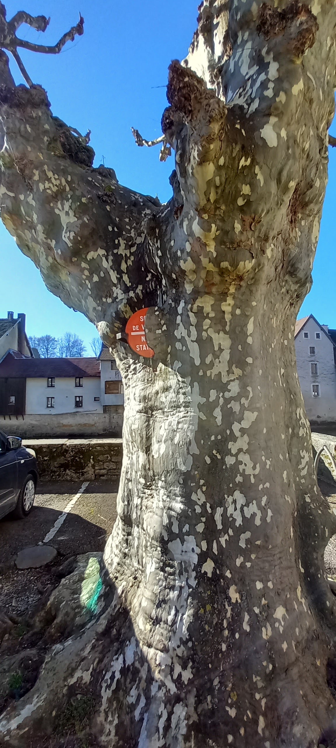 Photo n° 5 de l'avis de Alain.o fait le 16/02/2023 à 09:51