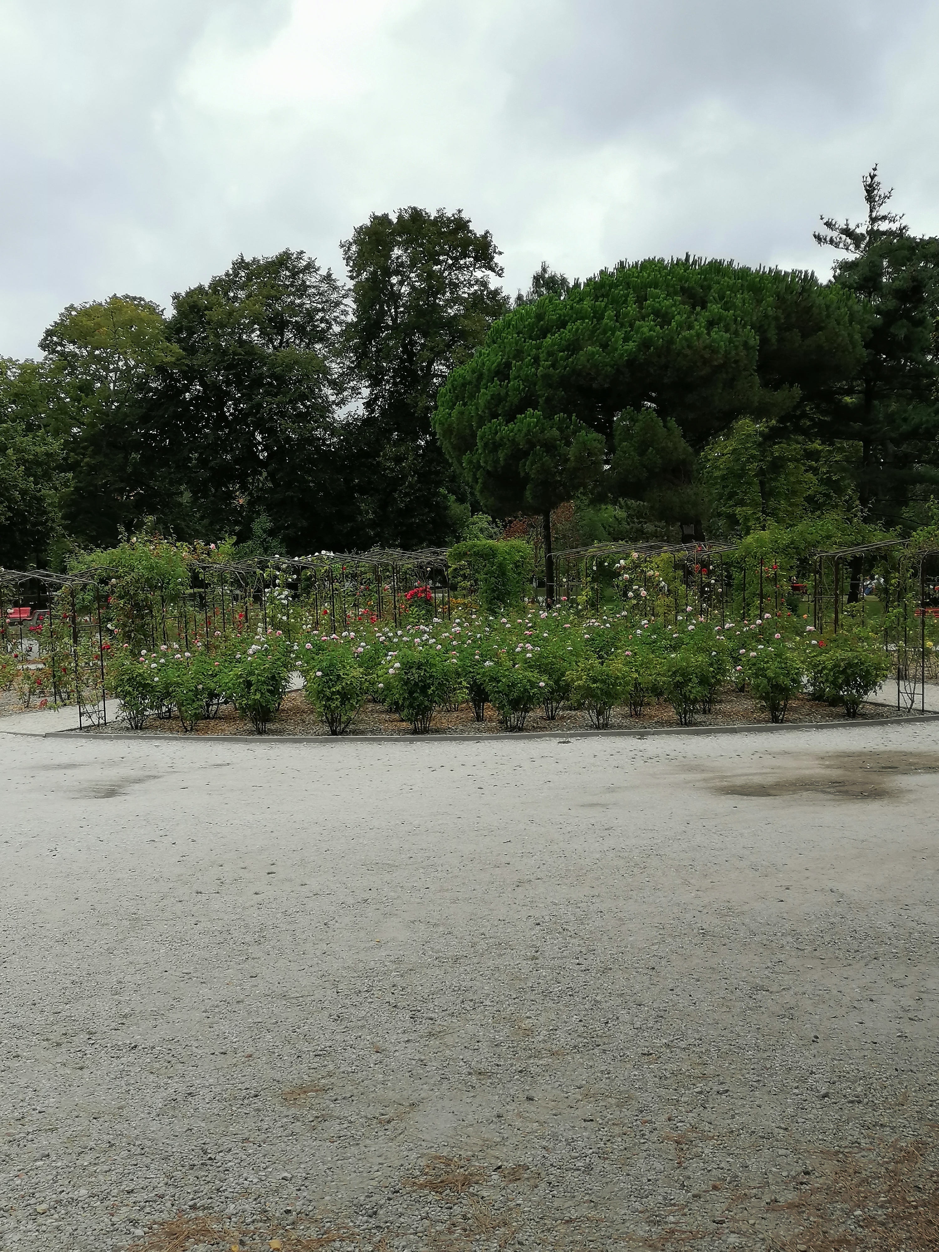 Photo n° 2 de l'avis de *.� fait le 05/08/2023 à 15:08