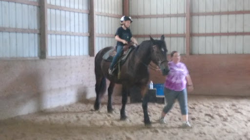 Horse Riding School «Horseng Farm LLC», reviews and photos, 6475 Warden Rd, New Tripoli, PA 18066, USA
