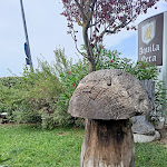 Photo n°4 de l'avis de Annalisa.u fait le 31/08/2022 à 15:08 sur le  L'Aquila Nera ristorante à Montepastore