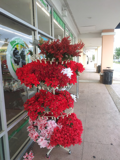 Dollar Store «Dollar Tree», reviews and photos, 843 Harley Strickland Blvd b, Orange City, FL 32763, USA