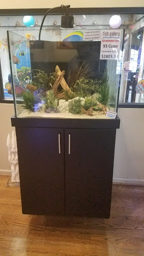 Tropical Fish Store «Fish Gallery», reviews and photos, 2909 Fountain View Dr, Houston, TX 77057, USA