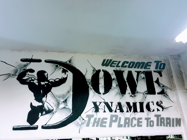 Comments and reviews of Dowe Dynamics Gym
