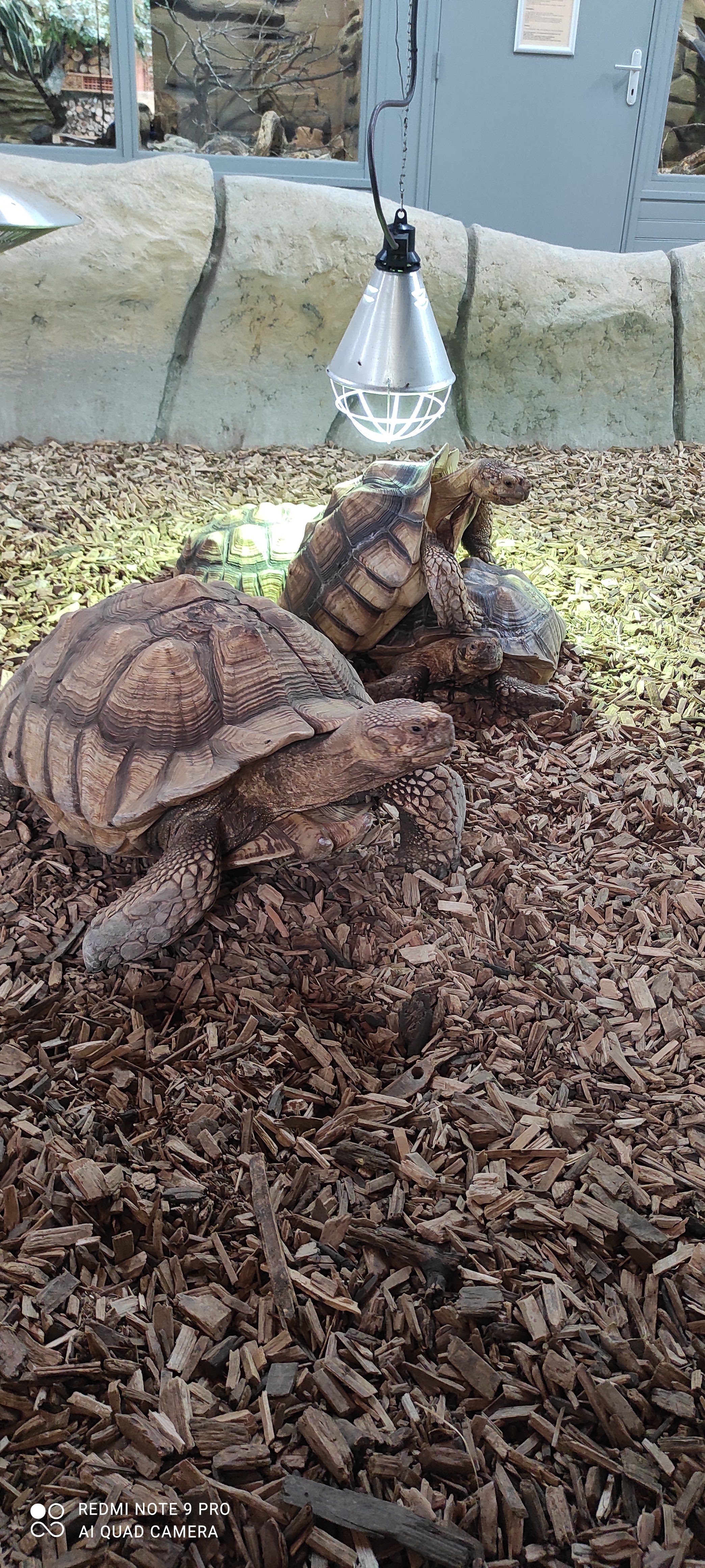 Photo n° 4 de l'avis de Stephane.S fait le 01/06/2021 à 13:52