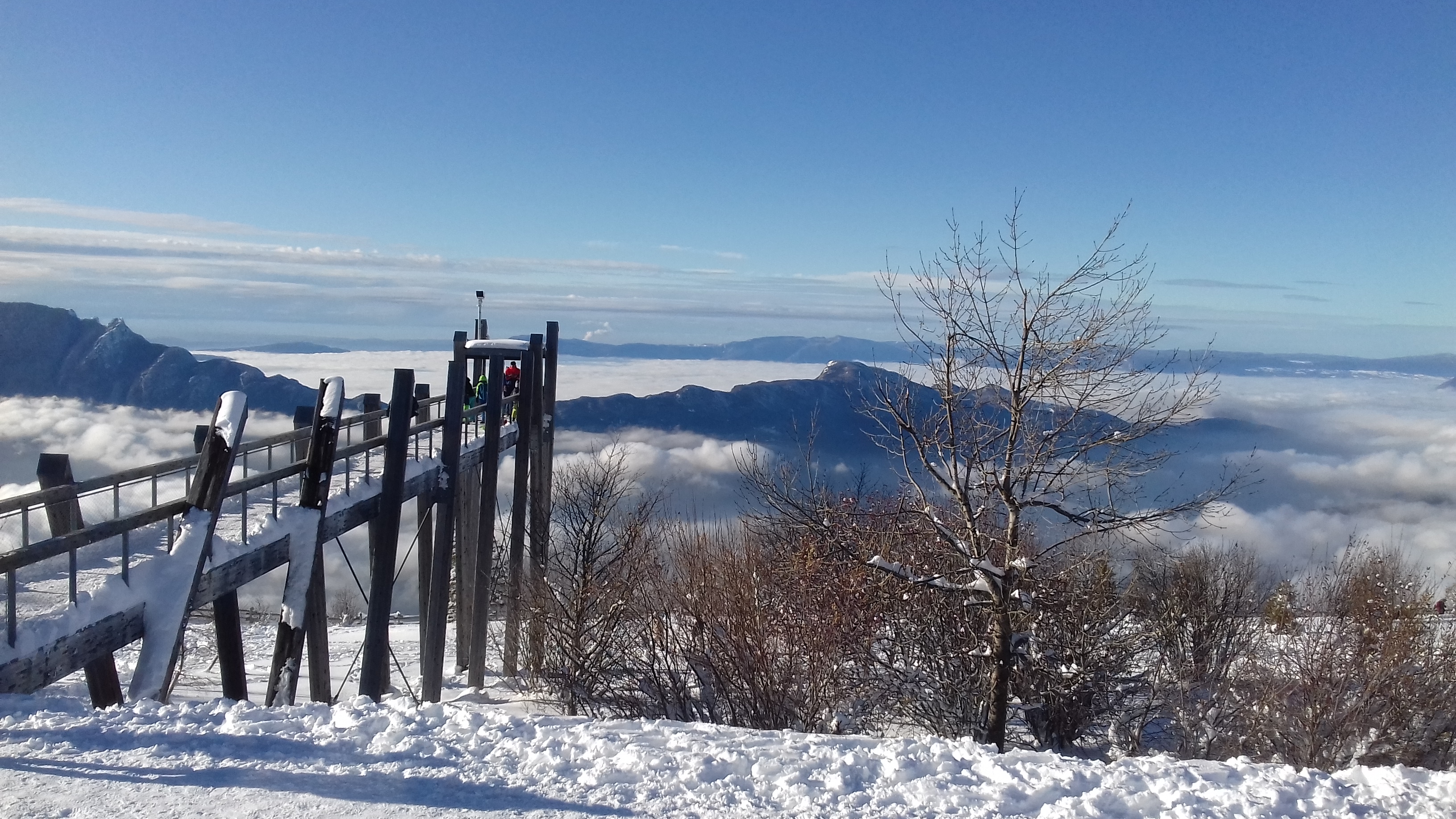 Photo n° 3 de l'avis de Juna.a fait le 11/12/2020 à 20:21