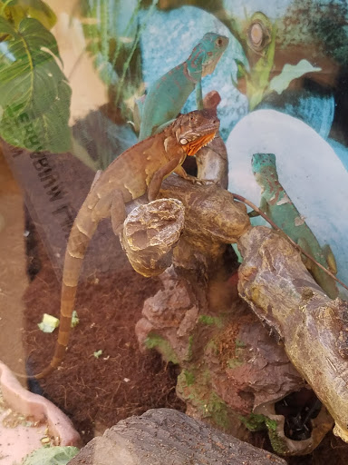 Pet Supply Store «Petco Animal Supplies», reviews and photos, 20825 I-30, Benton, AR 72015, USA