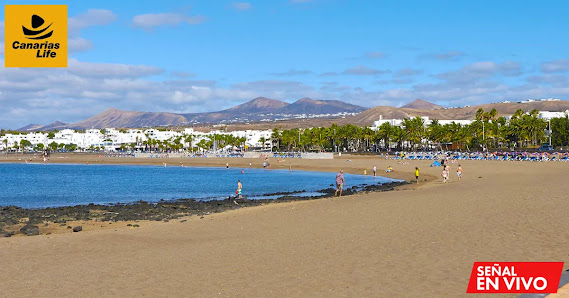 Cámara en vivo playa de Los Pocillos 35510 Puerto del Carmen, Las Palmas, España
