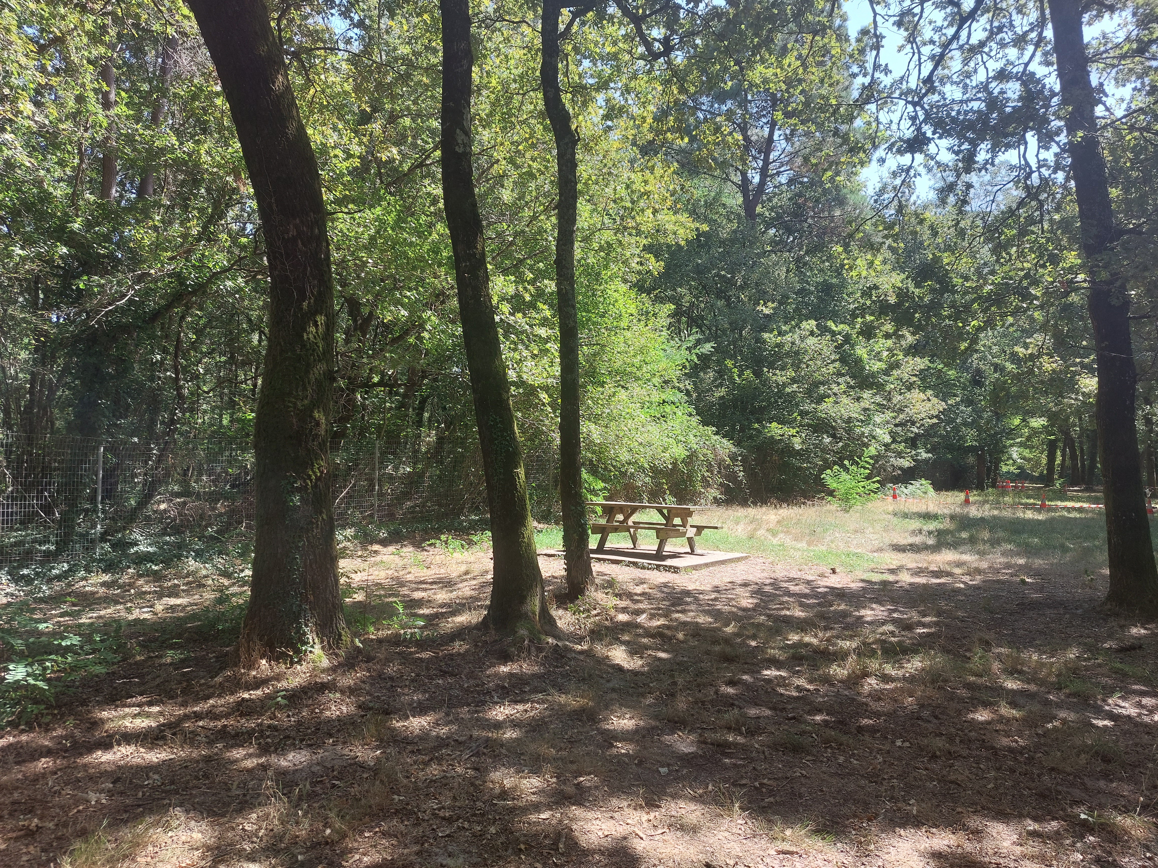 Photo n° 1 de l'avis de Pierric.a fait le 20/08/2023 à 14:55