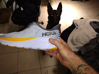 Fleet Feet Tallahassee - Photo 4 - Car repair in Tallahassee, FL, Tallahassee