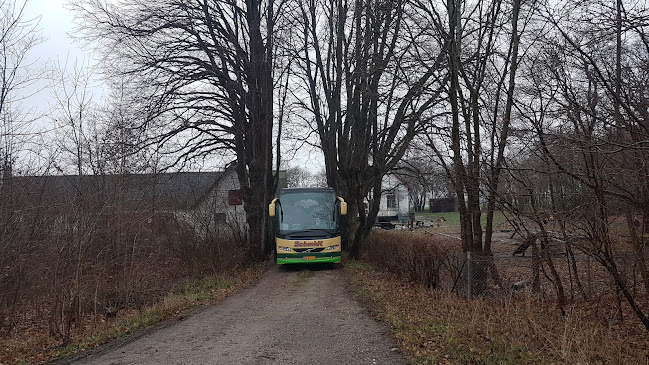 Opinii despre Luther Udflytterbørnehave în Hillerød - Skole