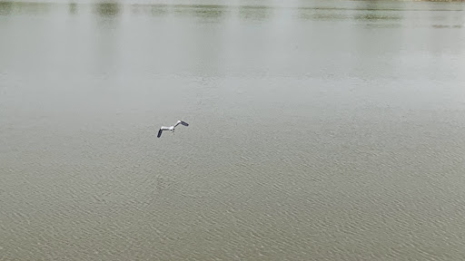 Park «Redmond Park», reviews and photos, 545 John St, Bensenville, IL 60106, USA