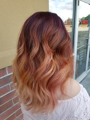 Hair Salon «Famous Hair», reviews and photos, 218 Park Dr Ste E, Weirton, WV 26062, USA