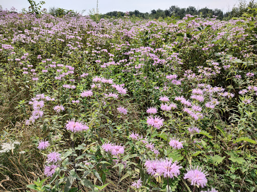 Battle Site «Third Battle of Winchester Battlefield Park», reviews and photos, 541 Redbud Rd, Winchester, VA 22603, USA