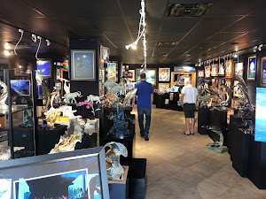 Wyland Galleries of Sarasota - photo 40
