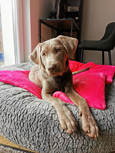 Futterzimmer unter Friedberg, 