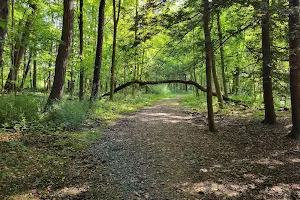 Chagrin Metroparks image